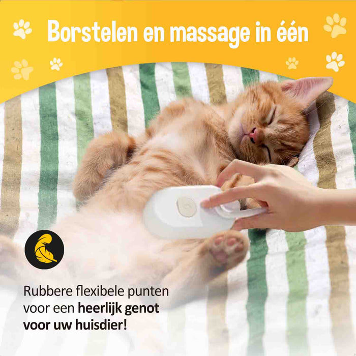 Beste Kattenborstel