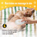 Beste Kattenborstel