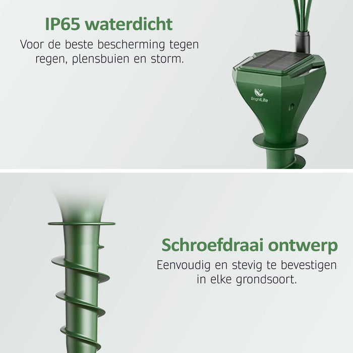 Beste Mollenverjager