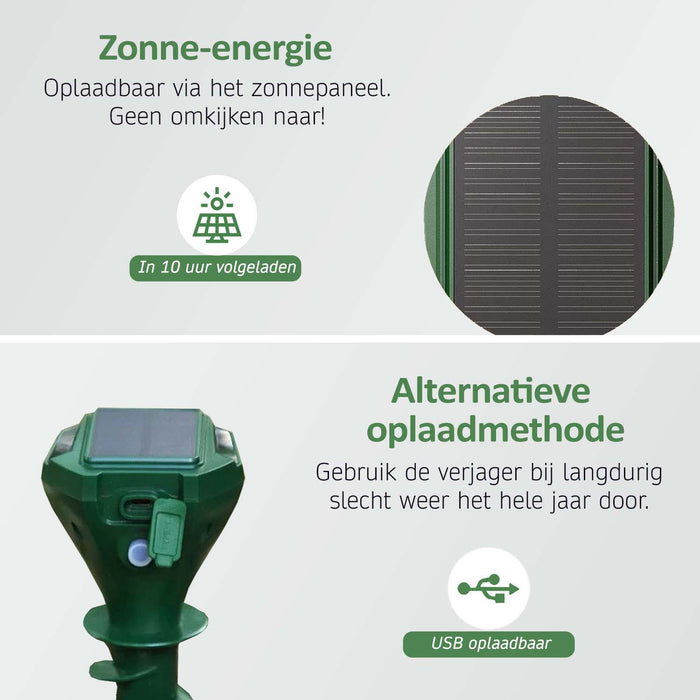 Mollenverjagers Solar