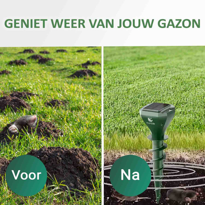 Molvrij gazon